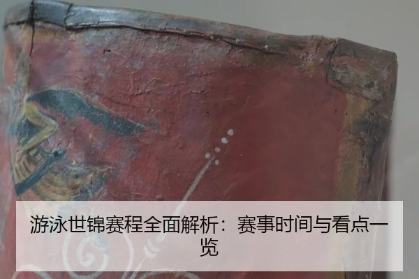 you-yong-shi-jin-sai-cheng-quan-mian-jie-xi-sai-shi-shi-jian-yu-kan-dian-yi-lan-2-493.jpg